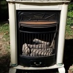 Charmglow Propane Fireplace