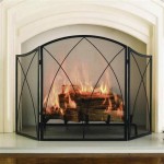 Do You Need A Fireplace Screen With Gas Logs