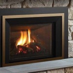 Fuego Fireplace Insert