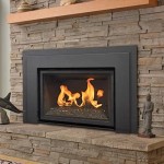 Gas And Wood Fireplace Combo Kits