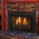 Kozy Heat Fireplace Insert Reviews