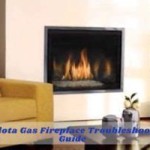 Mendota Gas Fireplace Problems