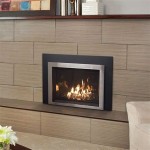 Most Efficient Gas Fireplace Insert With Blower