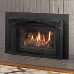 Regency Gas Fireplace Inserts Reviews