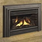 Valor Fireplace Insert Reviews