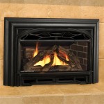 Valor Fireplace Inserts Reviews