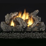 Ventless Fireplace Gas Logs With Remote