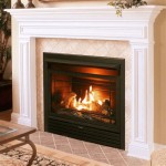 What Are The Top Rated Gas Fireplace Inserts